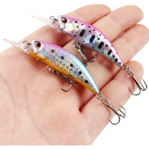 Slowly Sinking Minnow Fishing Lures Wobblers 6.5cm 5g Iscas Artificial Plastic Hard Bait 3D Eyes Crankbait Bass Pesca Tackle