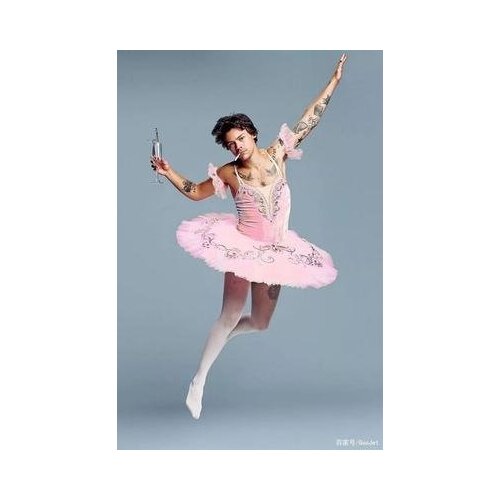 5D Diamond Painting Harry Styles DIY Cross stitch Kit Diamond Embroidery Rose Mosaic Picture of Rhinestones Decor