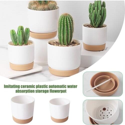 Double-layer Self Watering Succulent Plant Pot Decorative Flower Pot And Planter Green Dill Small Tree Bonsai Garden Home Decor