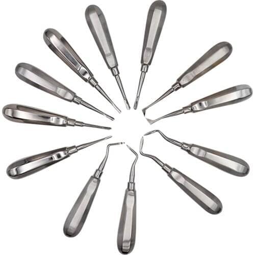 12Pcs Stainless Steel Dental Extracting Elevator Kit Dental Luxating Lift Root Elevator Apical Curved Root Elevator Instrument