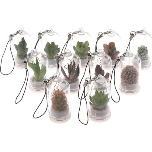 Cactus Miniature Succulent Cactus Terrarium Wearable Necklace Live DIY Succulent Plant pendant 2.5*5cm Random Style
