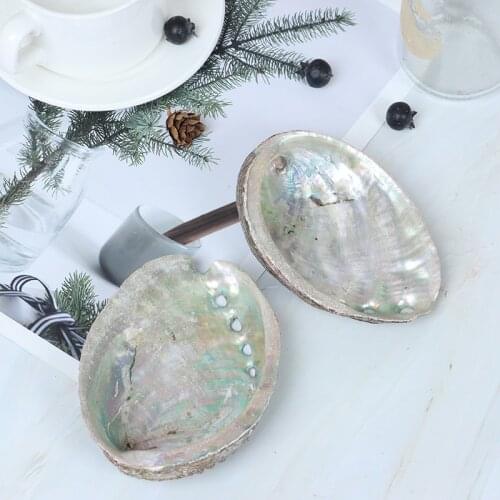 Natural Abalone Shells Seashells Home Aquarium Landscape DIY Nautical Decor Soap Holder Craft Collectable Jewelry Holder
