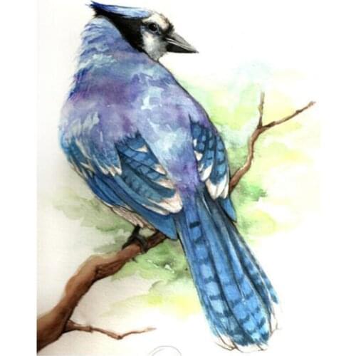 Animal Bird Full Display Square Round DIY 5D Diamond Painting Set Diamond Mosaic Embroidery Rhinestone Picture For Living Room