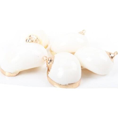 Gold plating Aquarium Beach Nautical DIY conch Colorful Natural Seashells Decorations Scallop conch Crafts Decor Ornament 5Pcs