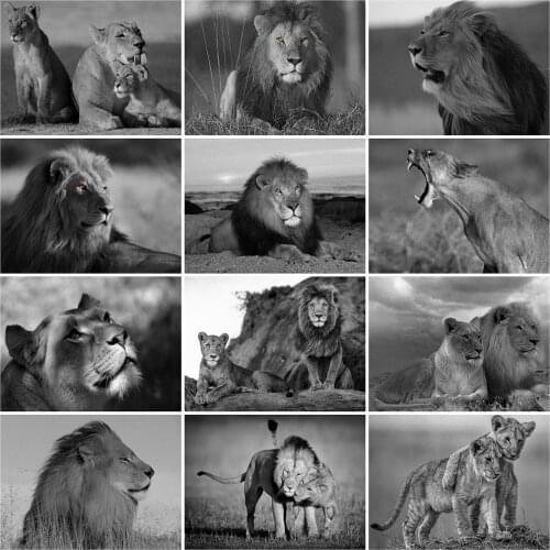 Evershine Black White Animal Diamond Painting Full Square Round Cross Stitch 5D Diamond Embroidery Lion Mosaic Sale Home Decor