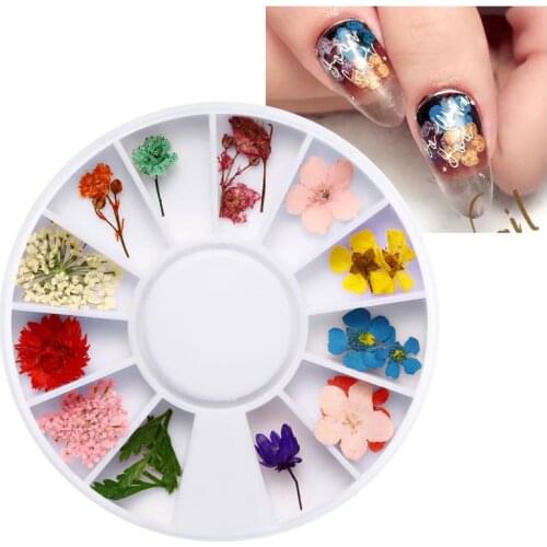 24Pcs 12 Patterns 3D Dry Flowers Stickers Real Dried Flower Nail Art Decoration Tips DIY Manicure Tools with Box