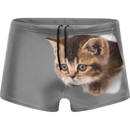 Men Cat Torn beach swimming trunks Somali Cat shorts Boy for the sea Pool