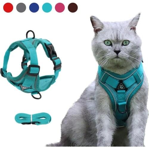 Cat Dog Reflective Harness Adjustable Breathable Pet Vest Puppy Walking Lead Leash Pet Training For Small Medium Large Dogs Cats