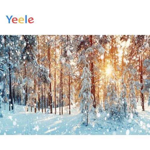 Yeele Sunshine Trees Winter Snow Party Decoration Photography Backgrounds Baby Portrait Photographic Backdrops for Photo Studio