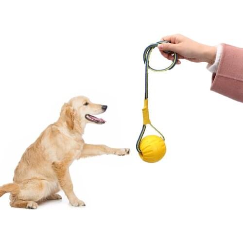 Dogs Chew Ball Training Toys Teeth Indestructible Bite Rubber Puppy Funny Balls Play Fetch Solid With Carrier Rope Pet Dog New