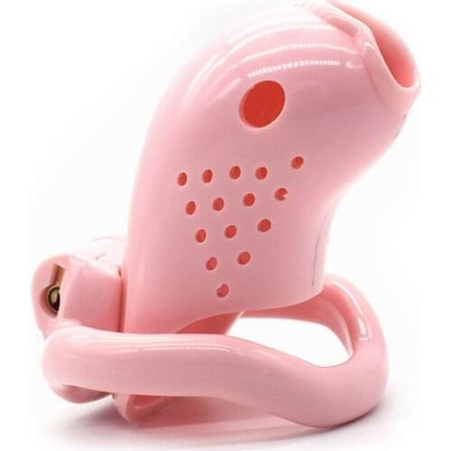 Cockring Cb6000 Chastity Cage Gay Sex Toys for Man4 Size Cock Ring Removable Cock Cage Male Chastity Device Prevent Derailment