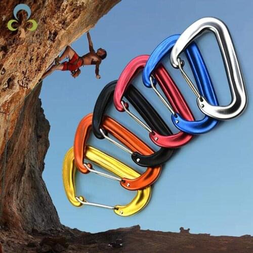 Professional Climbing Carabiner D Shape Mountaineering Buckle Hook 12KN Safety Lock Outdoor Climbing Equipment Accessory GYH
