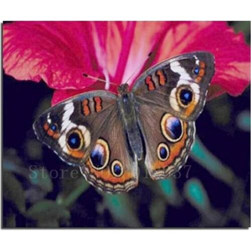 Diamond Mosaic 5D Diy Diamond Embroidery Butterfly Gathering Honey Full Diamond Painting Cross Stitch Rhinestone Home Decoration