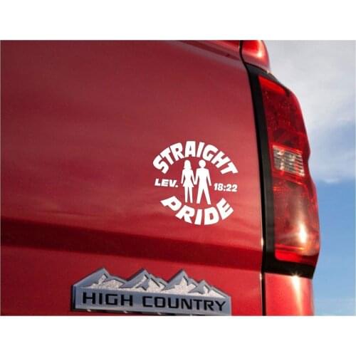 For Straight Pride Vinyl Decal,6 Year Vinyl, U Pick Color, Laptop/Window Decal Car Styling