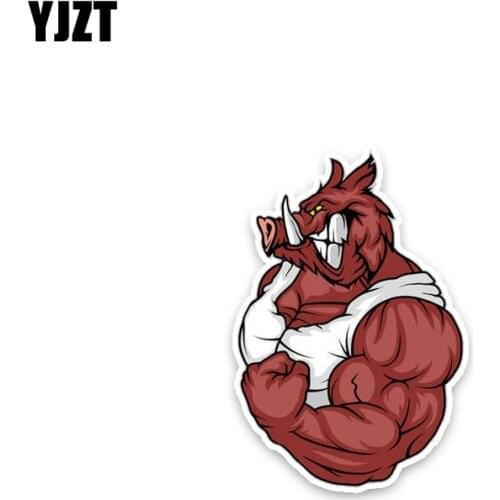 YJZT 10.2*14.9CM Car Sticker Strong Unfriendly Wild Boar Decals PVC Popular Animal Nice Quality C1-3353
