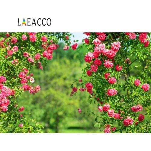 Laeacco Photography Backdrop Spring Blossom Flowers Green Vine Baby Newborn Light Bokeh Scenic Photo Backgrounds Photo Studio