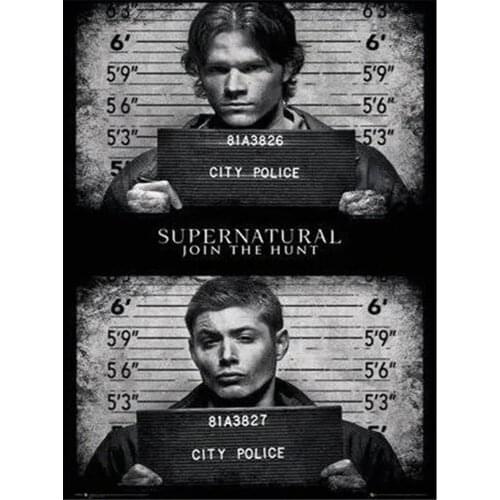 Supernatural Printed Fabric 11CT Cross-Stitch Embroidery Kit DMC Threads Sewing Painting Knitting Handiwork Gift Room Sales