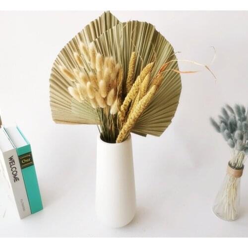 Dried Flower Palm Fan Leaf Cycas Leaf Natural Plants Window Reception Party Art Wall Hanging Decoration Wedding Arch Arrangement