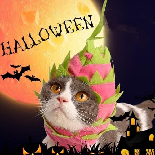 Christmas Halloween Pet Costume Puppy Dog Cats Fruit Shape Hat Party Headwear Accessory Deco For Dogs Cats Pitaya Headgear