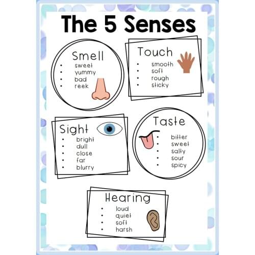 1 Pcs Big Size A4 The 5 Sense Learning School Poster Classroom Decoration Supplies Pre K Learning