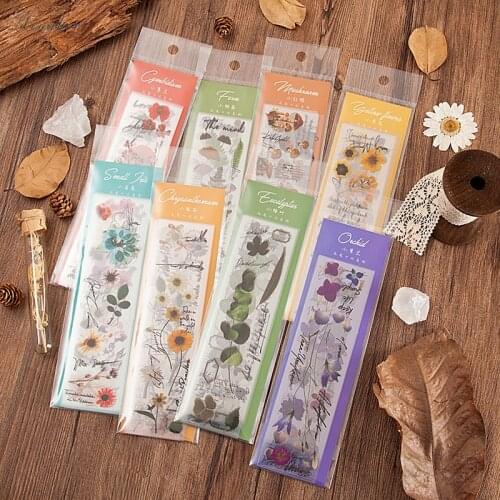 10pcs/bag Vintage eucalyptus Plant mushroom PET sticker package DIY diary Bullet Journal decoration sticker album scrapbooking