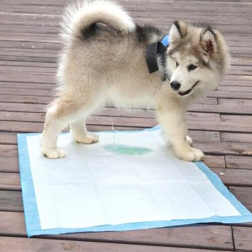 20/40/50/100pcs Pet Dog Diapers Disposable Heavy Absorbency Underpads Pet Dog Training Urine Pad Diapers for Dogs Clean Supplies