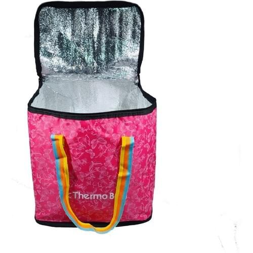 Eziva Home Camping, Picnic, Car, Beach Cold, Hot Holder Thermos Bag 30.5 Liter
