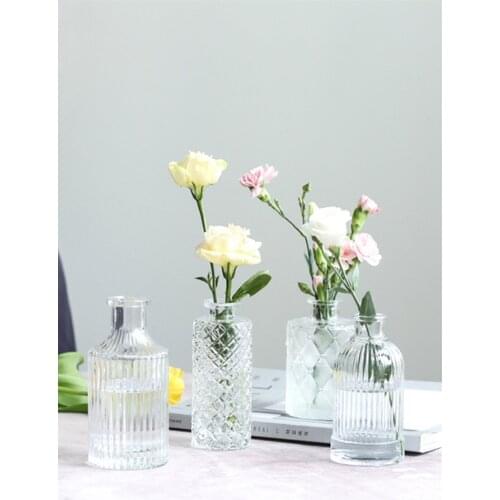 Nordic Simplicity Transparent Glass Vase Mini Terrarium Container Flower Pots Cute Living Room Ornaments Home Decor Accessories