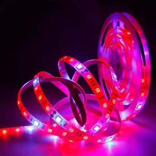 Светодиодные лампы для растений CXMSHINE China At AliExpress