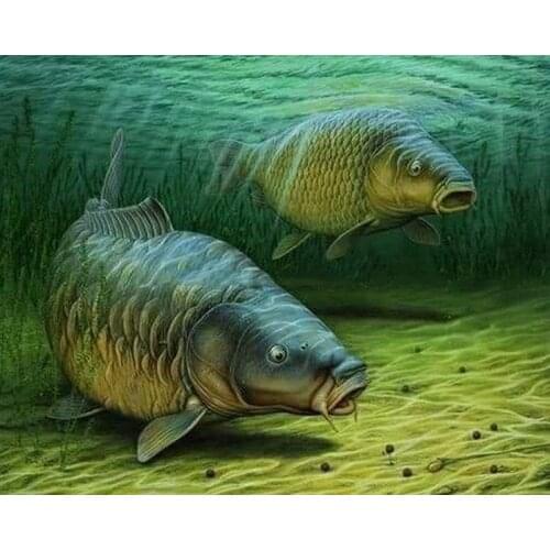 NEW Hot Sale Diamond Painting Carp Fish Full Square/Round Diamond Embroidery Picture Of Rhinestones Diamond Mosaic Dropship