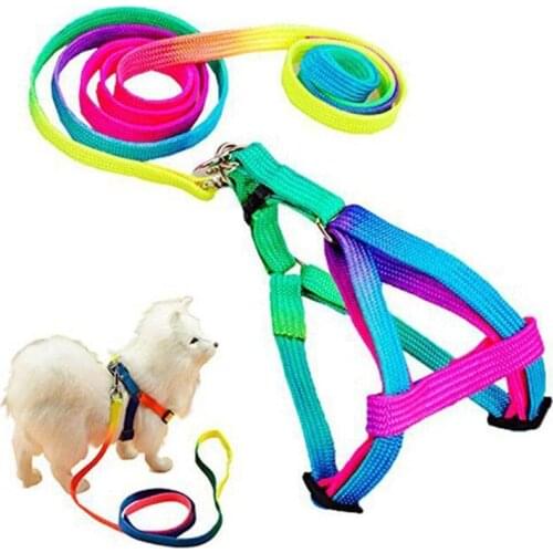 Adjustable Breakaway Rainbow Nylon Small Rabbit Cat collar leash breast-band Dog lead Harness set goods for Pets
