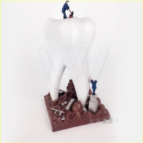 Dentist Gift Resin Crafts Toys Dental Artware Teeth Handicraft Dental Clinic Decoration Furnishing Articles Creative Sculpture