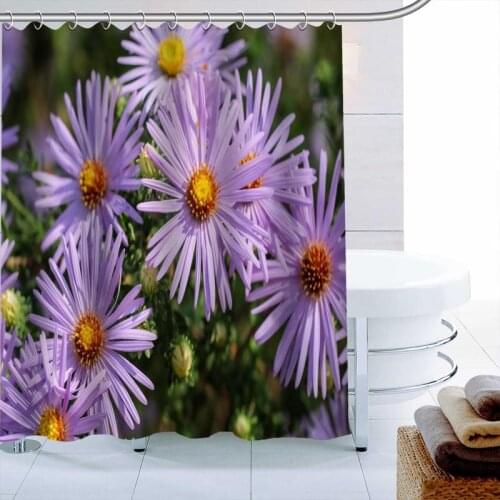 ShunQian Daisy HOT SALE Shower Curtain Polyester Fabric 3D Printing 12 Hooks For The Bathroom Waterproof Bath Curtain