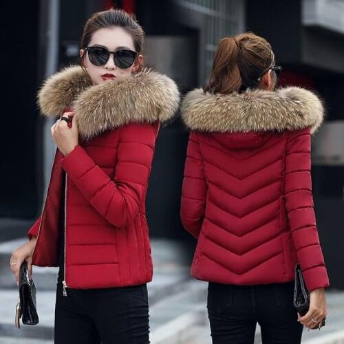 Large wool collar cotton-padded female short slim padded large size down cotton-padded Korean version of small jacket coat tide