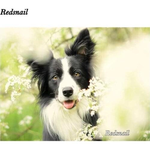 Border collie diamond painting Cross Stitch wall painting diamond embroidery dog animal,5D DIY Diamond Mosaic,Needlework,EE200