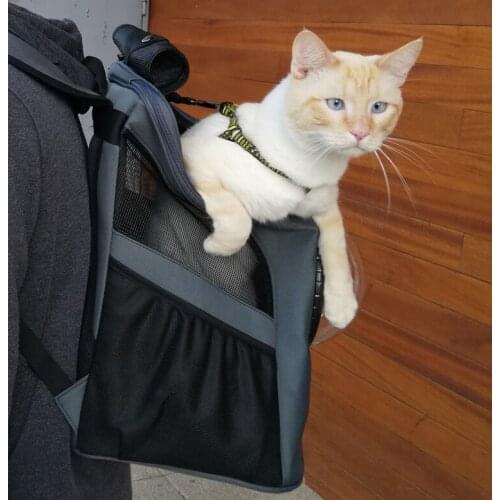 Pet Carrier Astronaut Space Capsule Backpack for Cats Small Dogs Portable Doggie Kitten Cat Travel Bag Outdoor Puppy Supplies