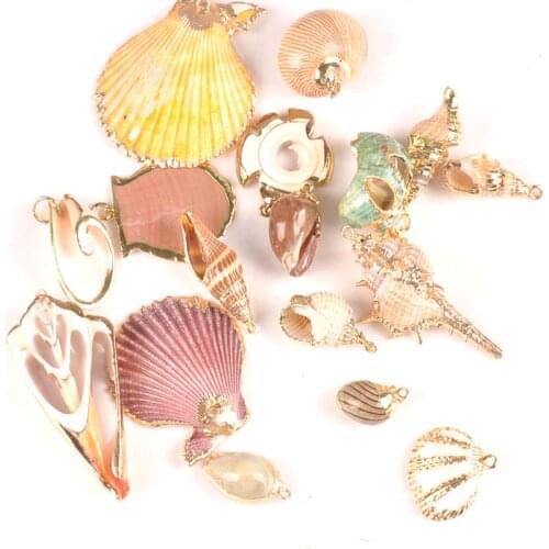 5pcs Random Mix Seashells For Crafts Accessories Home Decor DIY Jewelry Gold Plated Natural Shell Handmade Pendant TR0251-2