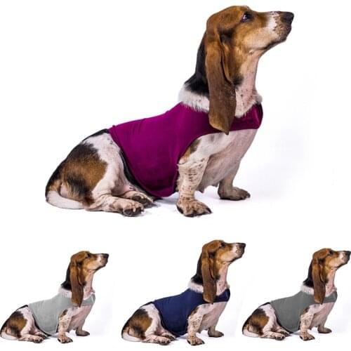 Pet supplies dog comfort clothes anti-anxiety overcome fear jacket shirt soft pet rehabilitation suit for small medium large dog