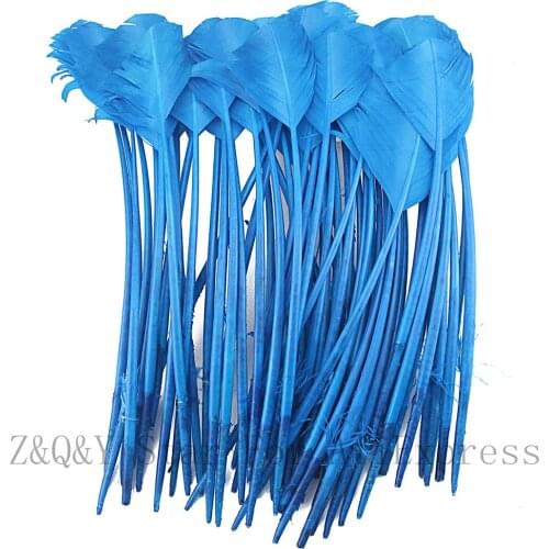 Natural 25-30CM Turkey Nest Lin Shear Round Dyed Lake Blue DIY Craft Ornament Head Decorative Feather