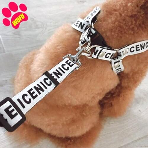 WOFUWOFU 2cm Dog Collar Luxury ,Dog Leash and Harness,Fashion Dog Collar,Set Pet Dog Leash Print Dog Leashes Rope