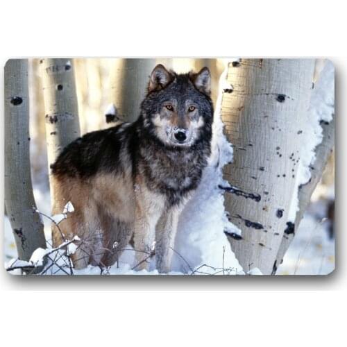 Doormat For Entrance Door Porch bath Non-Slip Mat Outdoor Wolf Rugs Floor Mats Room Kitchen Carpets Toilet Bath Mat