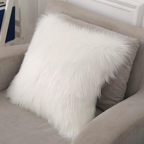 BEGONAWA Plush Pillows