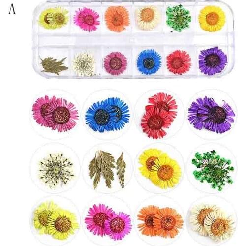 Dried Flowers Leaf Nail Decoration Natural Floral Sticker Dry Beauty Nail Art Decals Jewelry UV Gel Polish Manicure