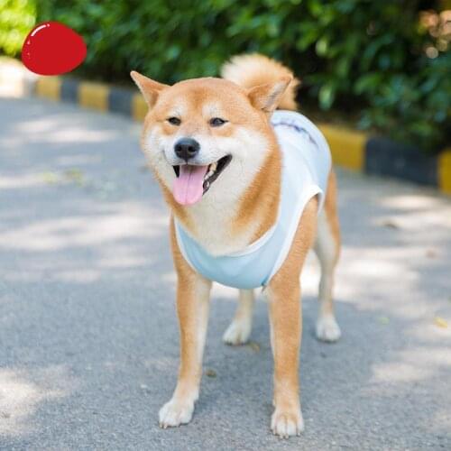 Dog Clothing Thin New Medium And Large Dog Pet Golden Fur Summer Dog Vest Clothing