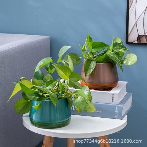 Plant Pot Plant Hanger Chain Hanging Basket Flower Pot Plant Holder Garden Balcony Dropshipping