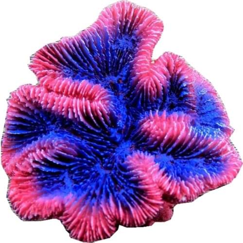 Artificial Coral Plant Colorful Polyresin Ornaments for Fish Tank Decor N0PA