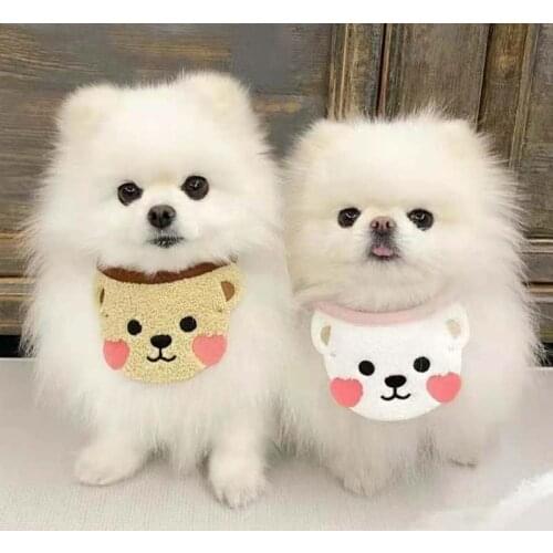 Korean version of cute bear pet cat scarf saliva towel small dog pet accessories saliva towel