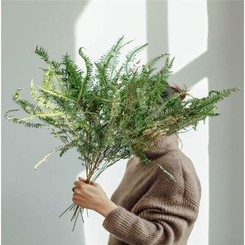 Free Shipping 10pcs Natural Air Dried Fern Leaf Osmunda Leaves Dry Flower Arrangement Plant