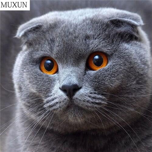 MUXUN Diy 5d Diamond Cartoon Animal Cartoon Round Cat Diamond Mosaic Decent Home Embroidery Pattern Home Decoration Gift A80131