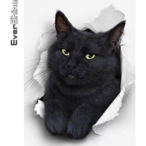 Evershine Diamond Embroidery Black Cat Picture Rhinestone Cross Stitch Diamond Painting Animals Mosaic Kit 5D DIY Handmade Gift